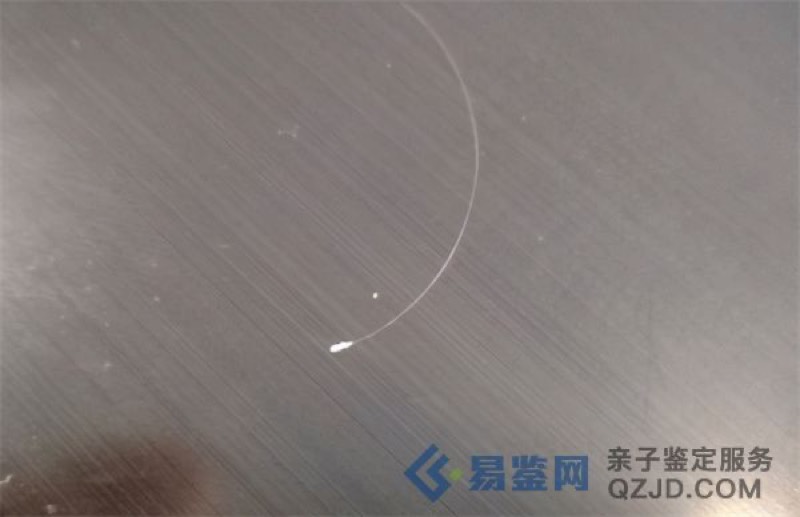 揭秘头发DNA鉴定的科学原理